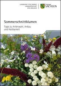 Sommerschnittblumen