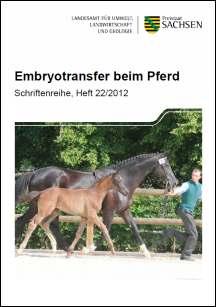 Vorschaubild zum Artikel Embryotransfer beim Pferd