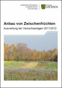 Anbau von Zwischenfrüchten