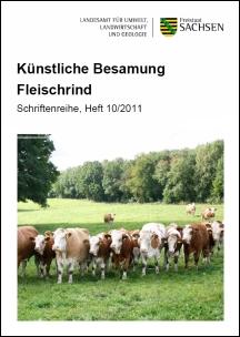 Schriftenreihe Heft 10/2011 - Künstliche Besamung Fleischrind Bild