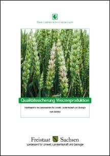 Vorschaubild zum Artikel Qualitätssicherung Weizenproduktion