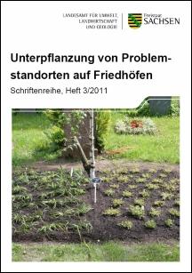 Unterpflanzung von Problemstandorten auf Friedhöfen Bild