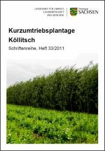 Schriftenreihe Heft 33/2011 - Kurzumtriebsplantage Köllitsch Bild