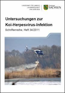 Schriftenreihe Heft 34/2011 - Untersuchungen zur Koi-Herpesvirus-Infektion Bild