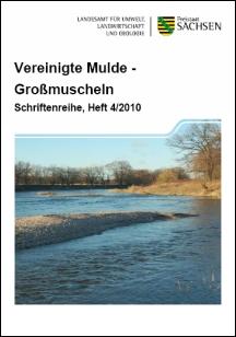 Vorschaubild zum Artikel Vereinigte Mulde - Großmuscheln