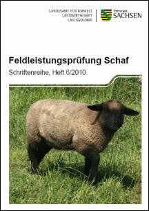 Vorschaubild zum Artikel Feldleistungsprüfung Schaf