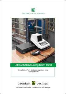 Ultraschallmessung beim Rind Bild