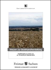 Weizen zur Bioethanolherstellung Bild