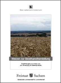 Weizen zur Bioethanolherstellung Bild