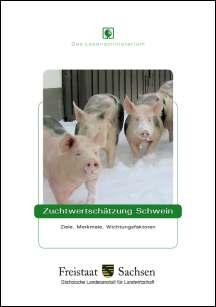 Zuchtwertschätzung Schwein Bild