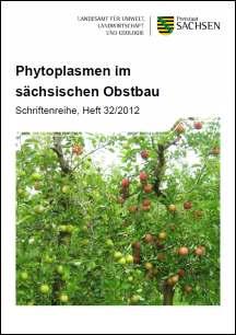Phytoplasmen im sächsischen Obstbau