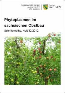 Vorschaubild zum Artikel Phytoplasmen im sächsischen Obstbau