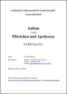 Anbau von Pfirsichen und Aprikosen