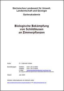 Vorschaubild zum Artikel Biologische Bekämpfung von Schildläusen an Zimmerpflanzen