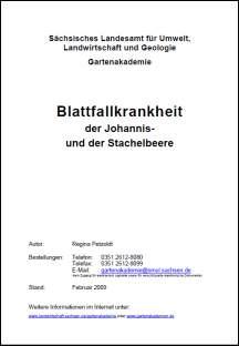 Blattfallkrankheit der Johannis- und der Stachelbeere