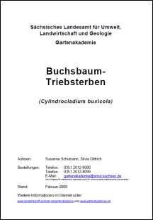 Buchsbaum-Triebsterben