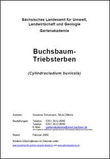 Buchsbaum-Triebsterben