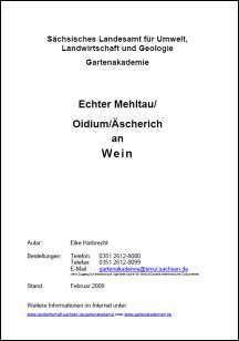 Echter Mehltau/Oidium/Äscherich an Wein