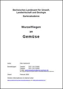 Wurzelfliegen an Gemüse