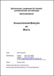 Vorschaubild zum Artikel Grauschimmel/Botrytis an Wein