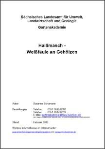 Vorschaubild zum Artikel Hallimasch - Weißfäule an Gehölzen