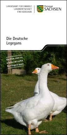 Die Deutsche Legegans