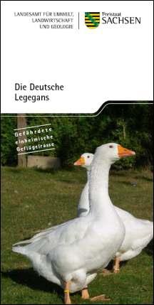 Vorschaubild zum Artikel Die Deutsche Legegans