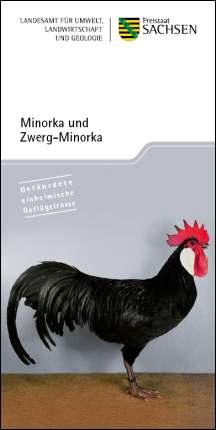 Minorka und Zwerg-Minorka