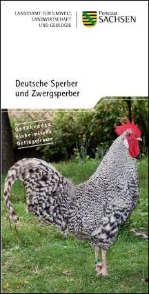 Deutsche Sperber und Zwergsperber