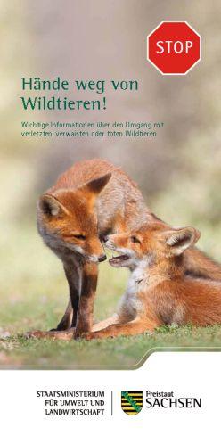 Hände weg von Wildtieren!