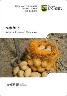 Kartoffeln