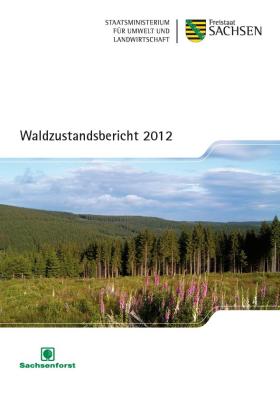 Vorschaubild zum Artikel Waldzustandsbericht 2012