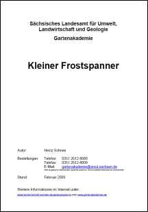 Kleiner Frostspanner