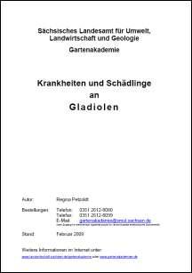 Krankheiten und Schädlinge an Gladiolen