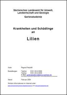 Krankheiten und Schädlinge an Lilien