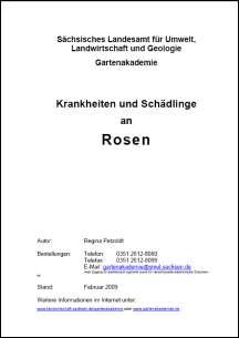 Krankheiten und Schädlinge an Rosen