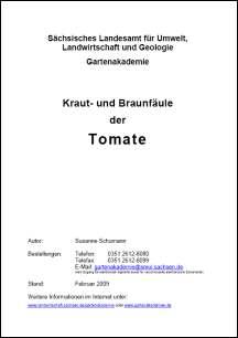 Vorschaubild zum Artikel Kraut- und Braunfäule der Tomate