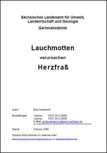 Lauchmotten verursachen Herzfraß
