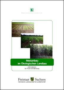 Vorschaubild zum Artikel Maisanbau im Ökologischen Landbau