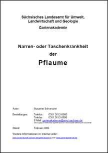 Narren- oder Taschenkrankheit der Pflaume