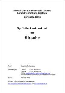 Sprühfleckenkrankheit der Kirsche