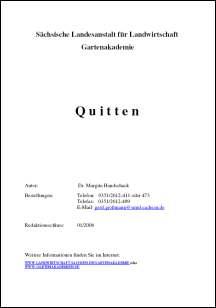 Quitten