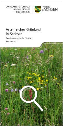 Vorschaubild zum Artikel Artenreiches Grünland in Sachsen