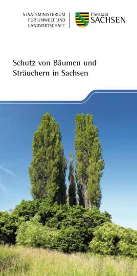 Schutz von Bäumen und Sträuchern in Sachsen