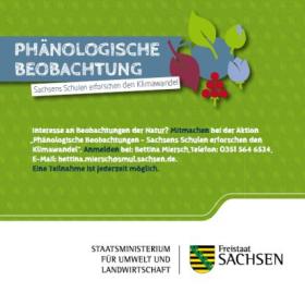 Vorschaubild zum Artikel Phänologische Beobachtung - Flyer