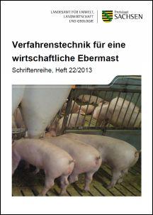 Vorschaubild zum Artikel Verfahrenstechnik für eine wirtschaftliche Ebermast