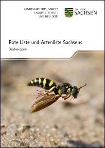 Vorschaubild zum Artikel Rote Liste und Artenliste Sachsens - Grabwespen