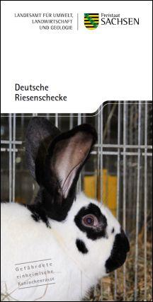 Vorschaubild zum Artikel Deutsche Riesenschecke