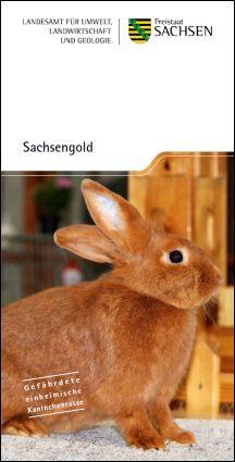 Sachsengold