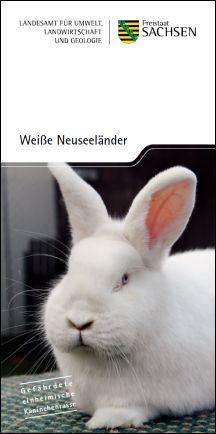 Vorschaubild zum Artikel Weiße Neuseeländer